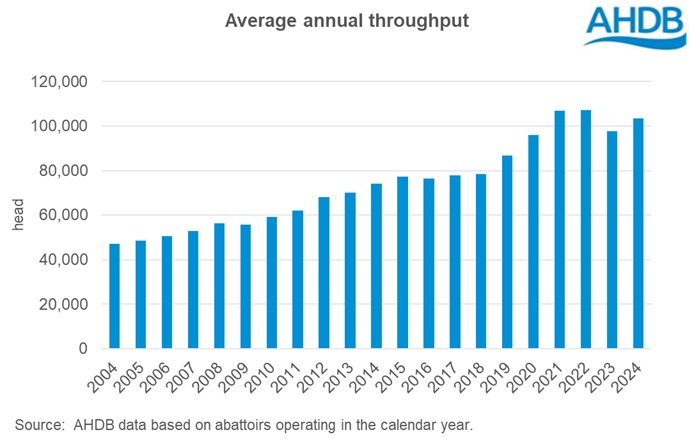Graph showing English pig abattoirs average annual throughput 2004 to 2024.